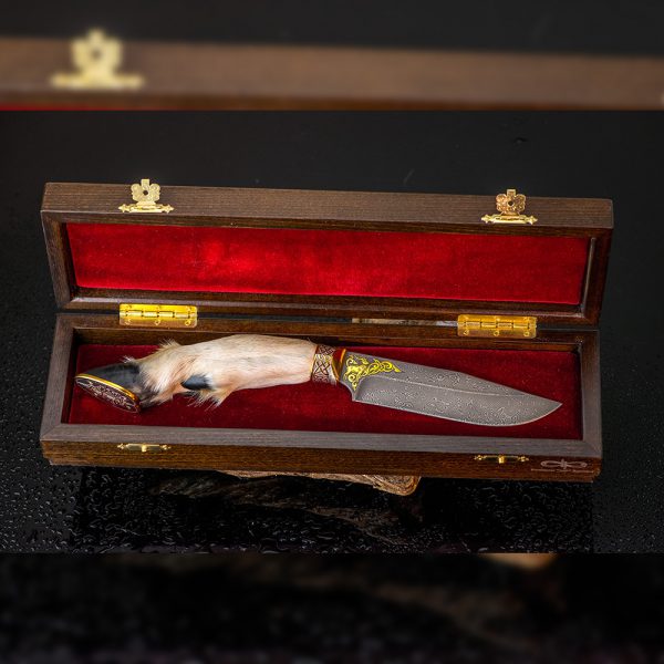 Exotic knife in a luxurious box