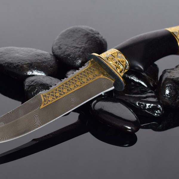 Luxurious knife with teeth on the blade